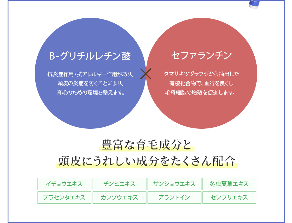 B-グリチルレチン酸で抗炎症作用・抗アレルギー作用があり、頭皮の炎症を防ぐことにより、育毛のための環境を整えます。そしてセファランチンでタマサキツヅラフジから抽出した有機化合物で、血行を良くし毛母細胞の増殖を促進します。