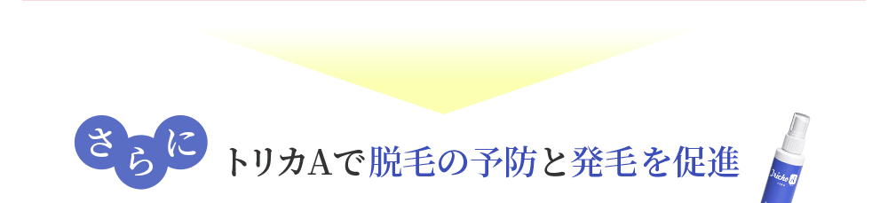 さらにトリカで脱毛の予防と発毛を促進