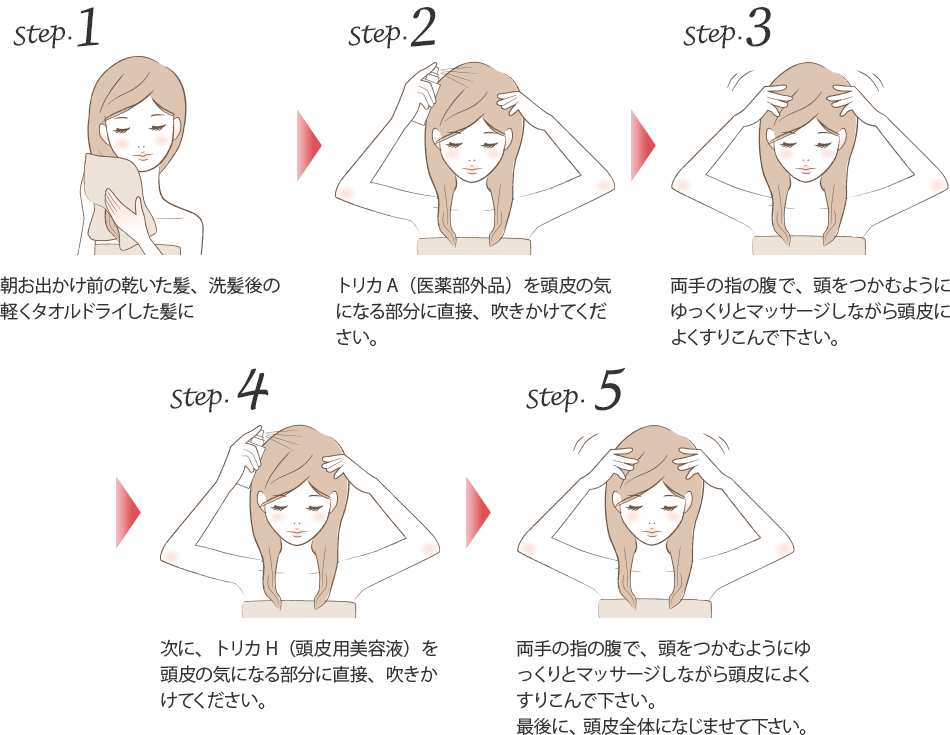 トリカHの使い方