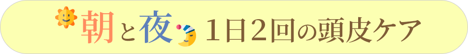 朝と夜の1日2回の頭皮ケア